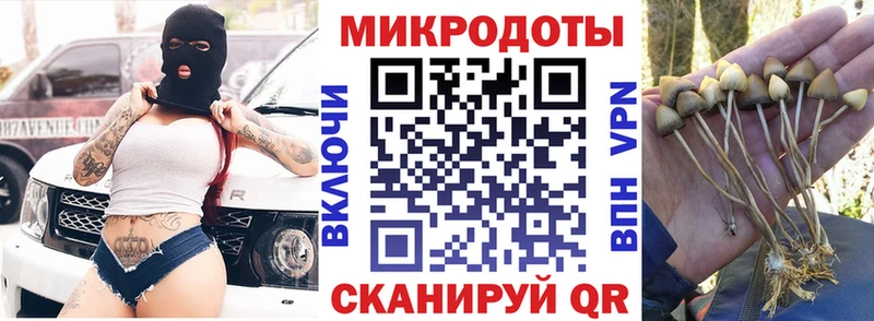 Купить закладки  Чапаевск  Псилоцибиновые грибы мицелий 